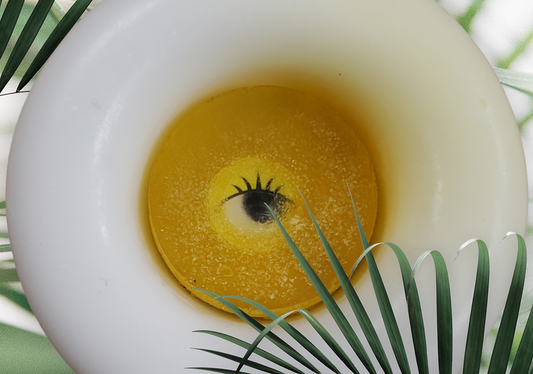 Evil Eye Health Protection Soap