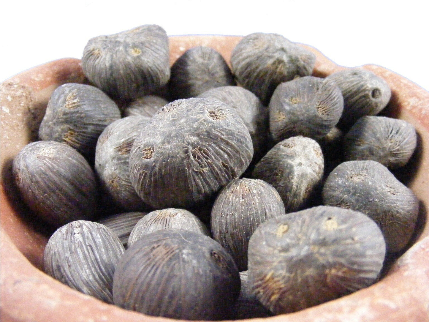 Ikin Seeds