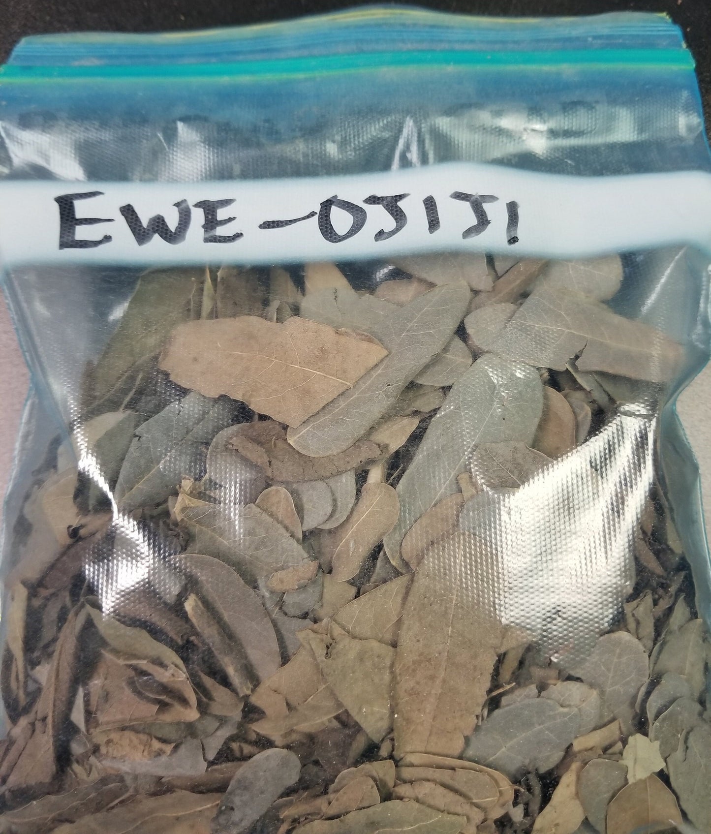 Ewe (Herbs)