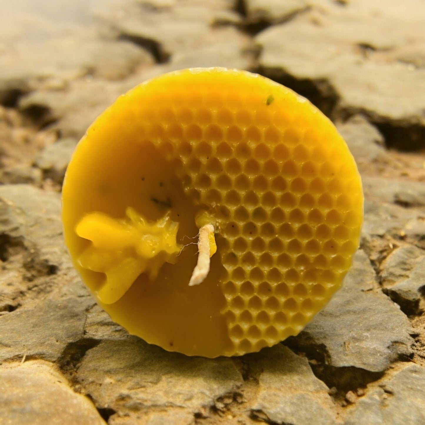 Round Honeycomb Bees wax Candle, Honey Scented Candle, Ritual Candle, Bees Wax Scented, All Natural Candle, Nature Candle, Bee Candle.
